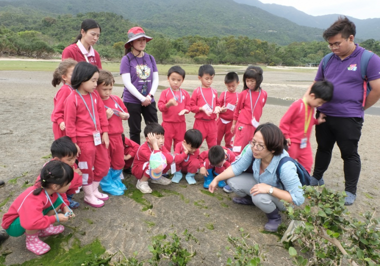 東涌幼兒學校「森林學校」